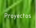 Proyectos